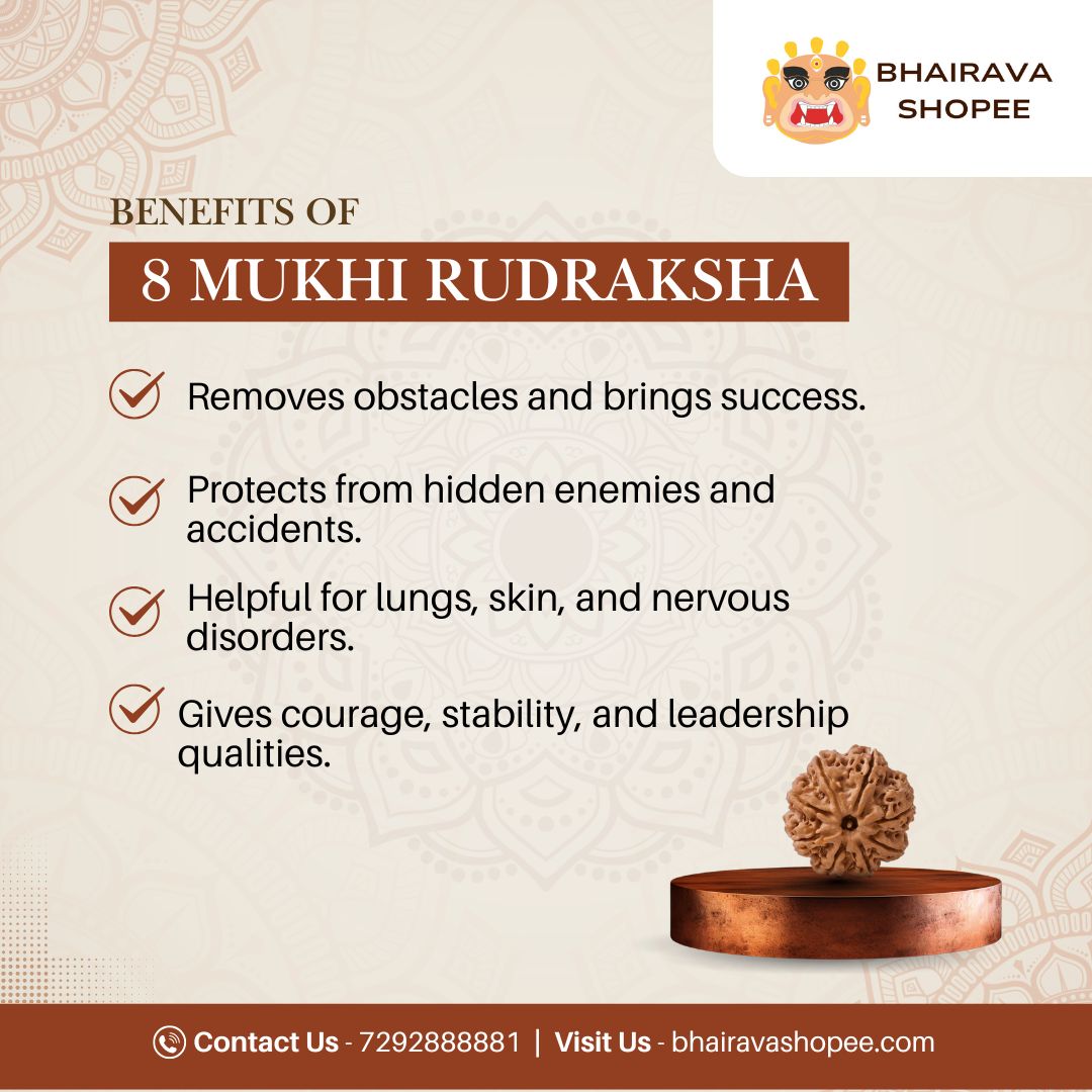 8 Mukhi Nepali Siddh Rudraksha | Rare Ganesh Rudraksha for Wisdom & Obstacle Removal